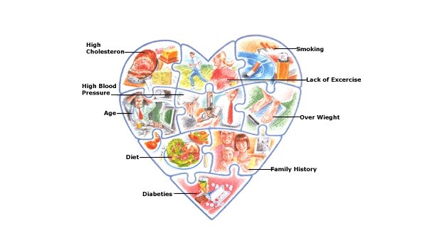 Causes of Heart Diseases
